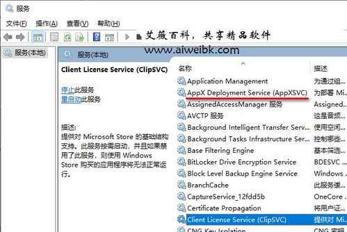 組件服務(wù)計算機卡死？解析wsappx進(jìn)程占用系統(tǒng)資源過多導(dǎo)致電腦卡死的解決方法
